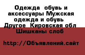 Одежда, обувь и аксессуары Мужская одежда и обувь - Другое. Кировская обл.,Шишканы слоб.